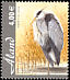 Grey Heron Ardea cinerea