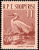 Little Egret Egretta garzetta  1961 Albanian birds 