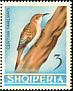 Eurasian Treecreeper Certhia familiaris