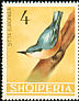 Eurasian Nuthatch Sitta europaea