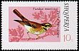 Redwing Turdus iliacus