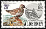 Dunlin Calidris alpina  1984 Birds 