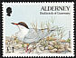 Common Tern Sterna hirundo  1994 Flora and fauna 