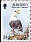 Great Black-backed Gull Larus marinus  1994 Flora and fauna Booklet