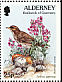 European Rock Pipit Anthus petrosus  1997 Flora and fauna Booklet