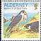 Peregrine Falcon Falco peregrinus  2000 WWF, Peregrine Falcon 