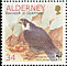 Peregrine Falcon Falco peregrinus  2000 WWF, Peregrine Falcon 