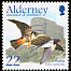 Barn Swallow Hirundo rustica  2002 Migrating birds 
