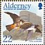 Barn Swallow Hirundo rustica  2002 Migrating birds Sheet