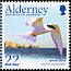 Arctic Tern Sterna paradisaea  2003 Migrating birds 