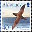 Sooty Shearwater Ardenna grisea  2003 Migrating birds 