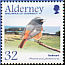 Common Redstart Phoenicurus phoenicurus  2004 Migrating birds 
