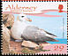 Northern Fulmar Fulmarus glacialis  2006 Resident birds 