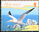 Northern Gannet Morus bassanus  2006 Resident birds 