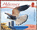 Common Kestrel Falco tinnunculus  2008 Resident raptors Prestige booklet
