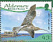Eurasian Curlew Numenius arquata  2009 Resident waders Prestige booklet