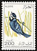 African Blue Tit Cyanistes teneriffae  1976 Algerian birds 