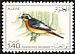 Moussier's Redstart Phoenicurus moussieri