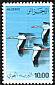 White Stork Ciconia ciconia  1979 Air 