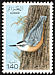 Algerian Nuthatch Sitta ledanti  1979 Birds 