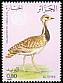 Houbara Bustard Chlamydotis undulata  1982 Nature protection 