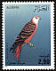Red Kite Milvus milvus  1987 Birds 