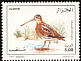 Common Snipe Gallinago gallinago  1995 Birds 