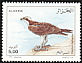 Western Osprey Pandion haliaetus  1998 Birds 
