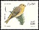 European Serin Serinus serinus  2000 Birds 