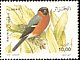 Eurasian Bullfinch Pyrrhula pyrrhula  2000 Birds 