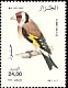 European Goldfinch Carduelis carduelis  2000 Birds 