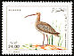 Eurasian Curlew Numenius arquata  2001 Birds 