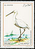 Eurasian Spoonbill Platalea leucorodia