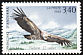 Griffon Vulture Gyps fulvus  1992 Nature protection 