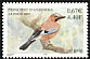 Eurasian Jay Garrulus glandarius