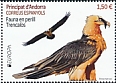 Bearded Vulture Gypaetus barbatus  2021 Europa 