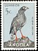 Dark Chanting Goshawk Melierax metabates  1951 Birds 