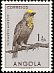 Anchieta's Barbet Stactolaema anchietae  1951 Birds 