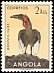 Southern Ground Hornbill Bucorvus leadbeateri  1951 Birds 