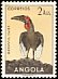 Southern Ground Hornbill Bucorvus leadbeateri