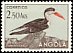 African Skimmer Rynchops flavirostris  1951 Birds 