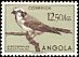 Southern White-crowned Shrike Eurocephalus anguitimens  1951 Birds 