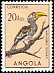 Southern Yellow-billed Hornbill Tockus leucomelas  1951 Birds 