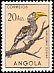 Southern Yellow-billed Hornbill Tockus leucomelas