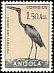 African Openbill Anastomus lamelligerus  1951 Birds 