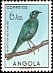 Sharp-tailed Starling Lamprotornis acuticaudus  1951 Birds 