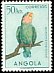 Rosy-faced Lovebird Agapornis roseicollis  1951 Birds 