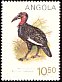 Southern Ground Hornbill Bucorvus leadbeateri