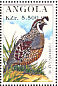 California Quail Callipepla californica  1996 Birds Sheet