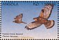 European Honey Buzzard Pernis apivorus  1996 Angolan fauna 12v sheet